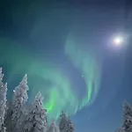 Arctic Hetan Kota