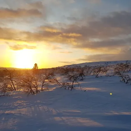 Курортный комплекс Arctic Hetan Kota Энонтекиё